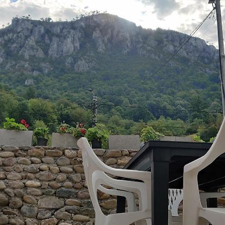 فندق Casa Narcisa Băile Herculane المظهر الخارجي الصورة