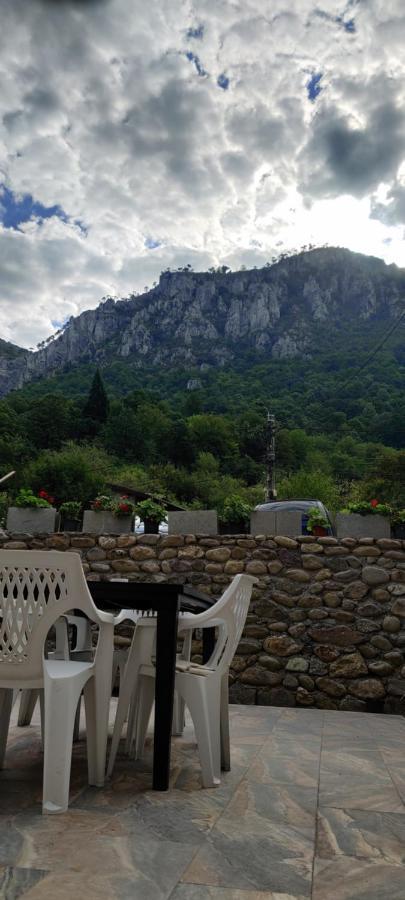 فندق Casa Narcisa Băile Herculane المظهر الخارجي الصورة
