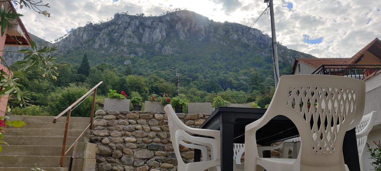 فندق Casa Narcisa Băile Herculane المظهر الخارجي الصورة
